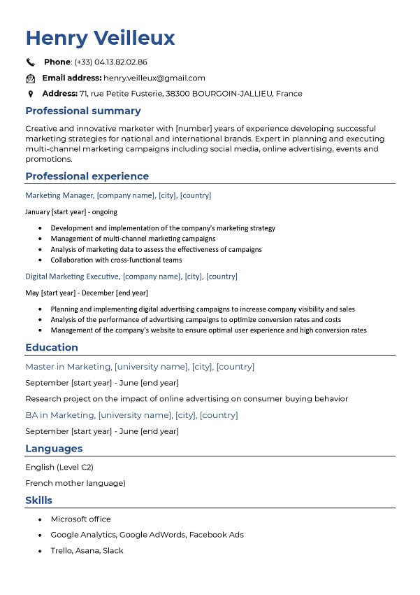 Free CV Templates simple word