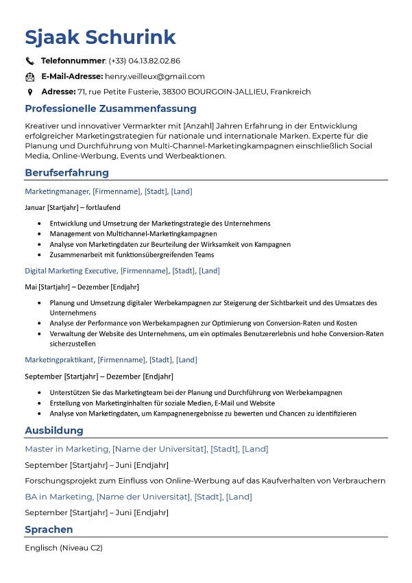 Einfache Lebenslauf Vorlage