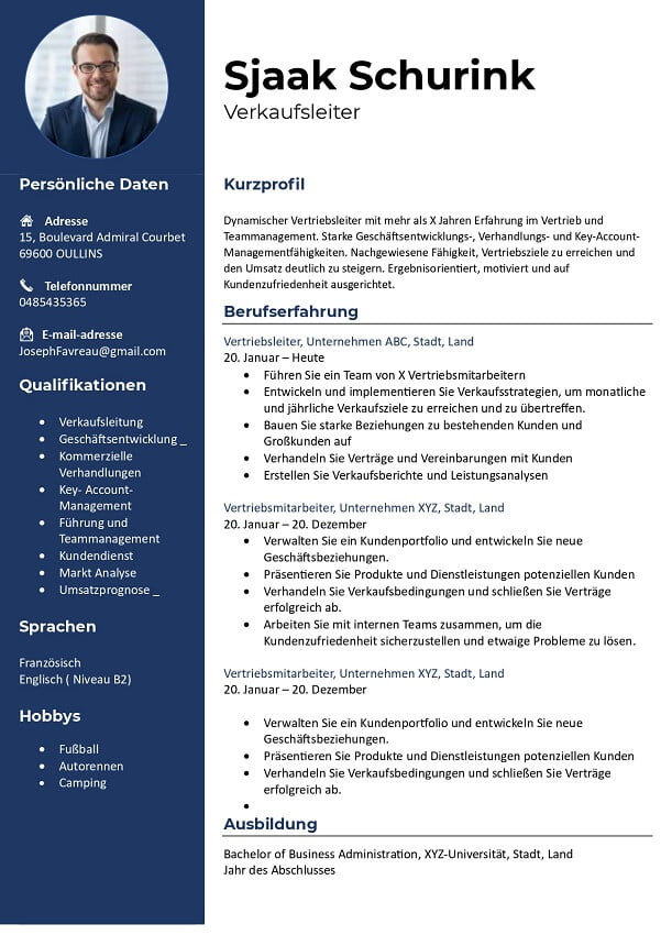 Professionelle Lebenslauf vorlage