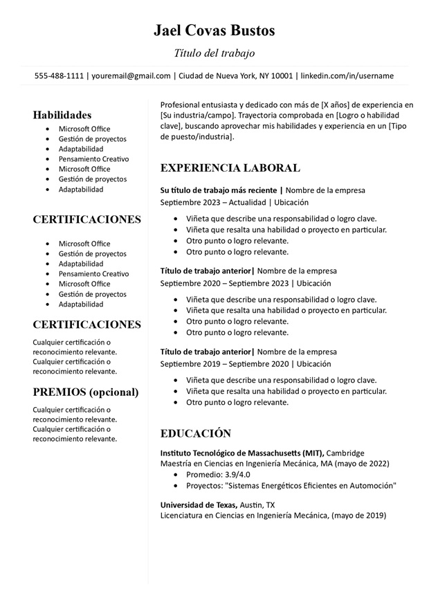 Plantilla de CV sencilla con dos columnas sin foto