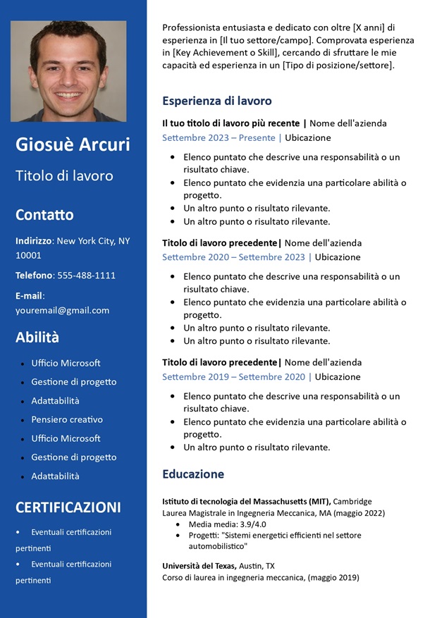 modello di curriculum vitae