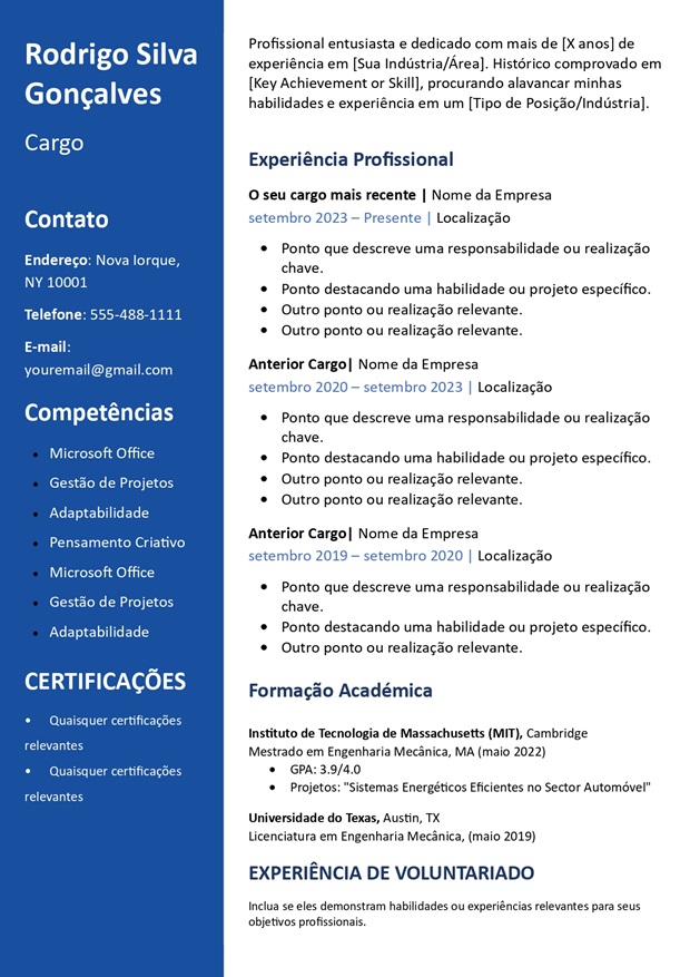 Modelo de Currículo Profissional