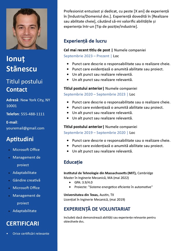 șablon de cv