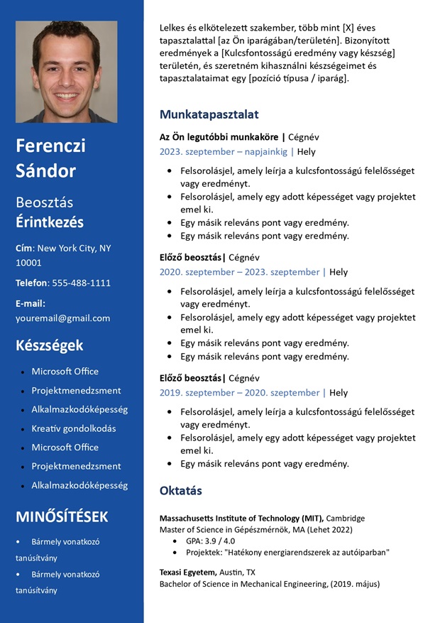 cv sablon