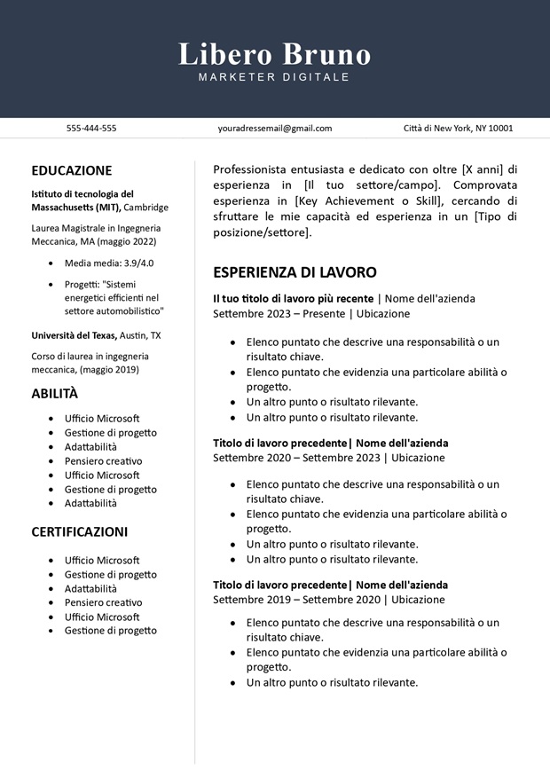 modello di curriculum vitae