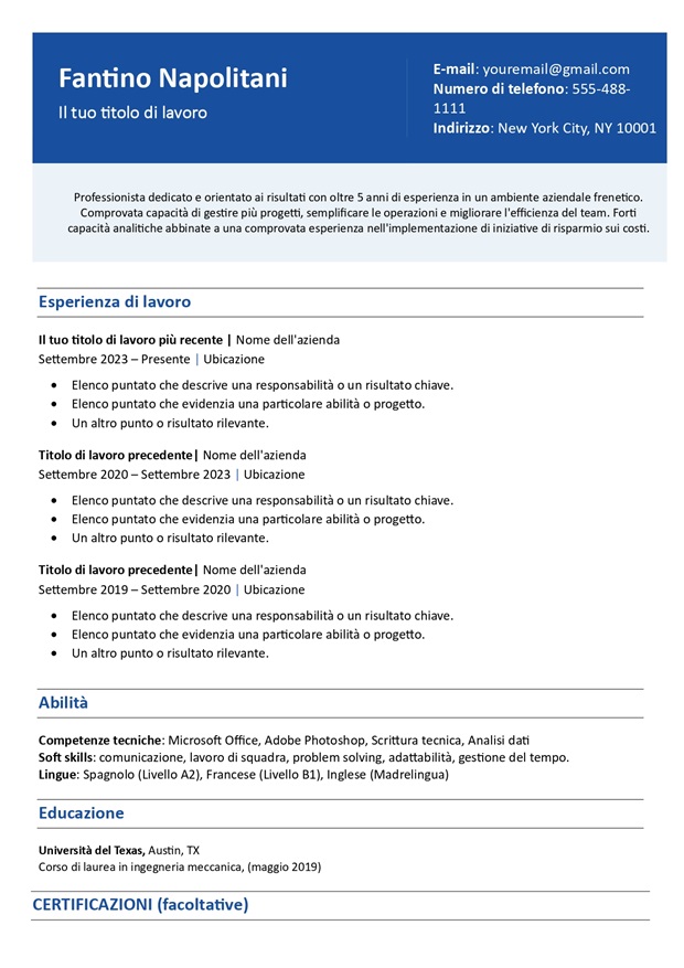 modello di curriculum vitae