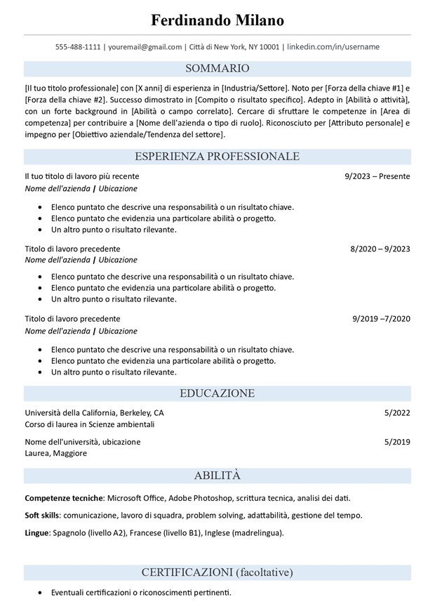 modello di curriculum vitae