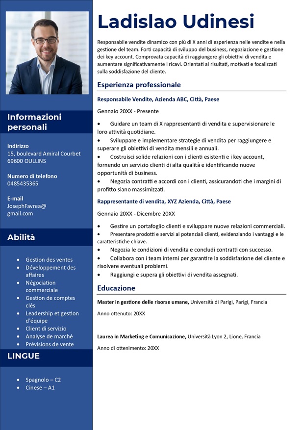 Modello di curriculum vitae