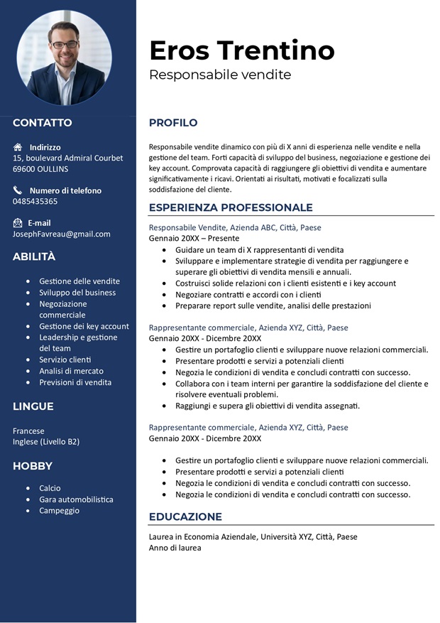 modello di curriculum vitae