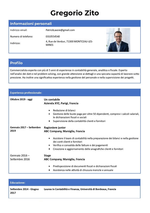 modello di curriculum vitae