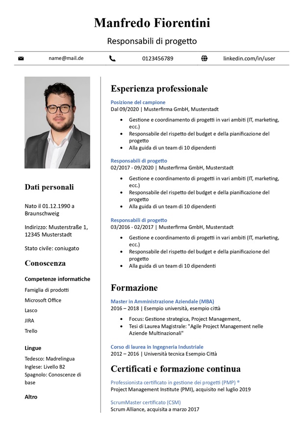 modello di curriculum vitae