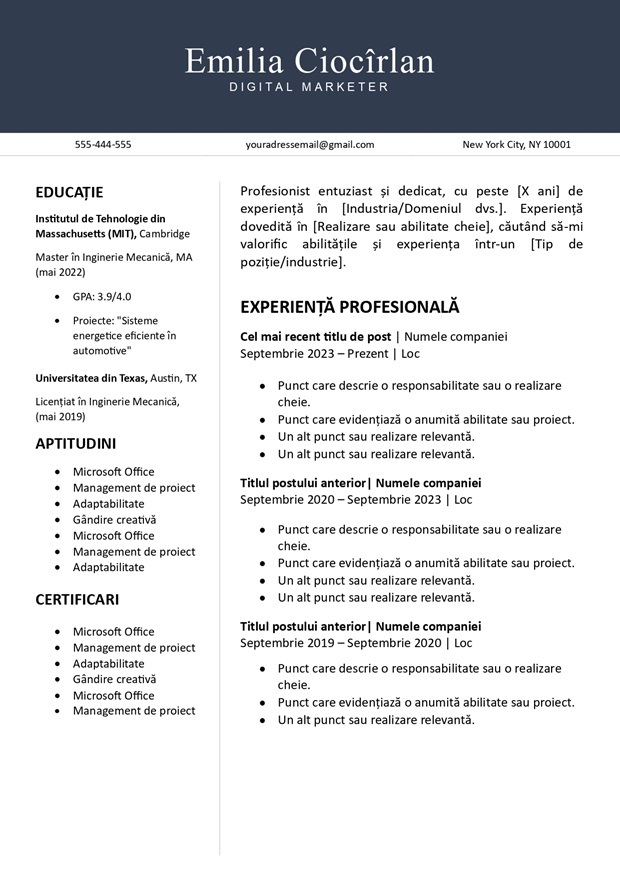 șablon de cv
