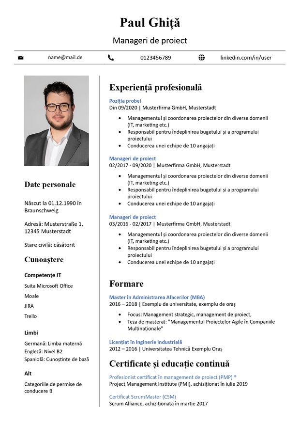 șablon de cv